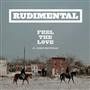 #124 | Rudimental ft. John Newman - Feel The Love